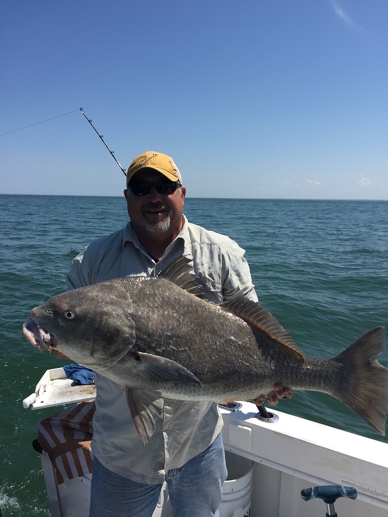 charter-fishing-cape-charles-virginia-guided-tours-offshore