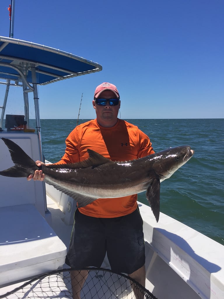 charter-fishing-cape-charles-virginia-guided-tours-offshore