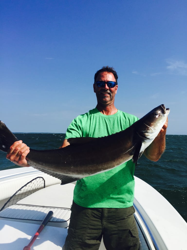 Charter Fishing Cape Charles, Virginia Guided Tours Offshore