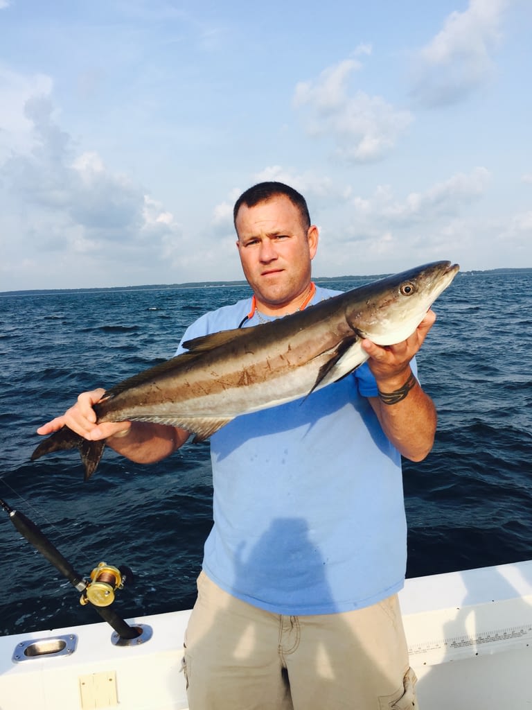 Charter Fishing Cape Charles, Virginia Guided Tours Offshore