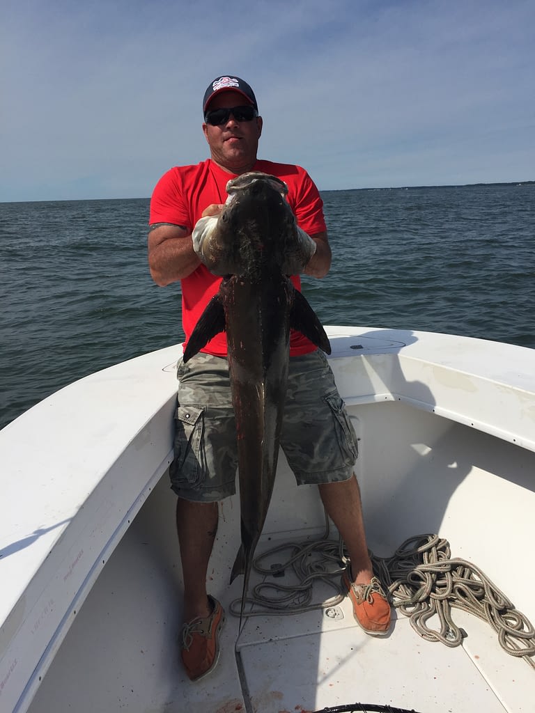 charter-fishing-cape-charles-virginia-guided-tours-offshore