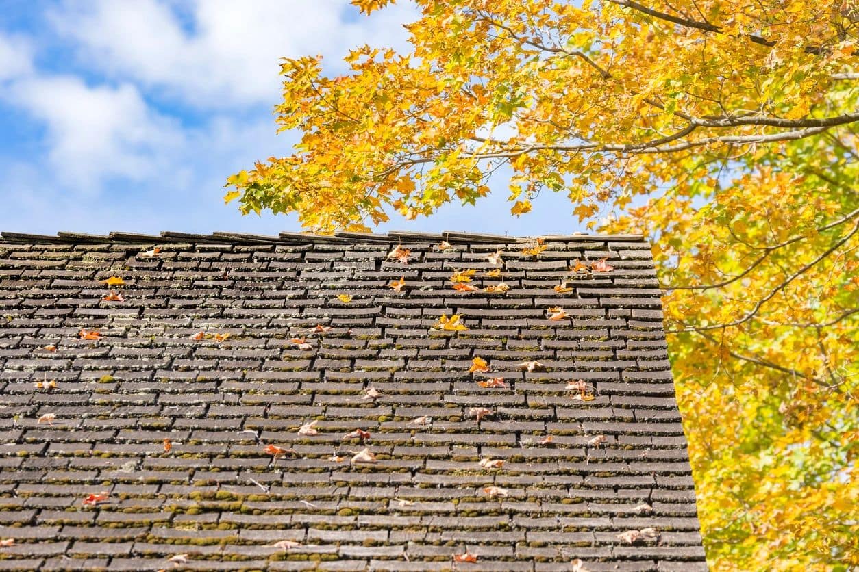The Value of Roof Inspections