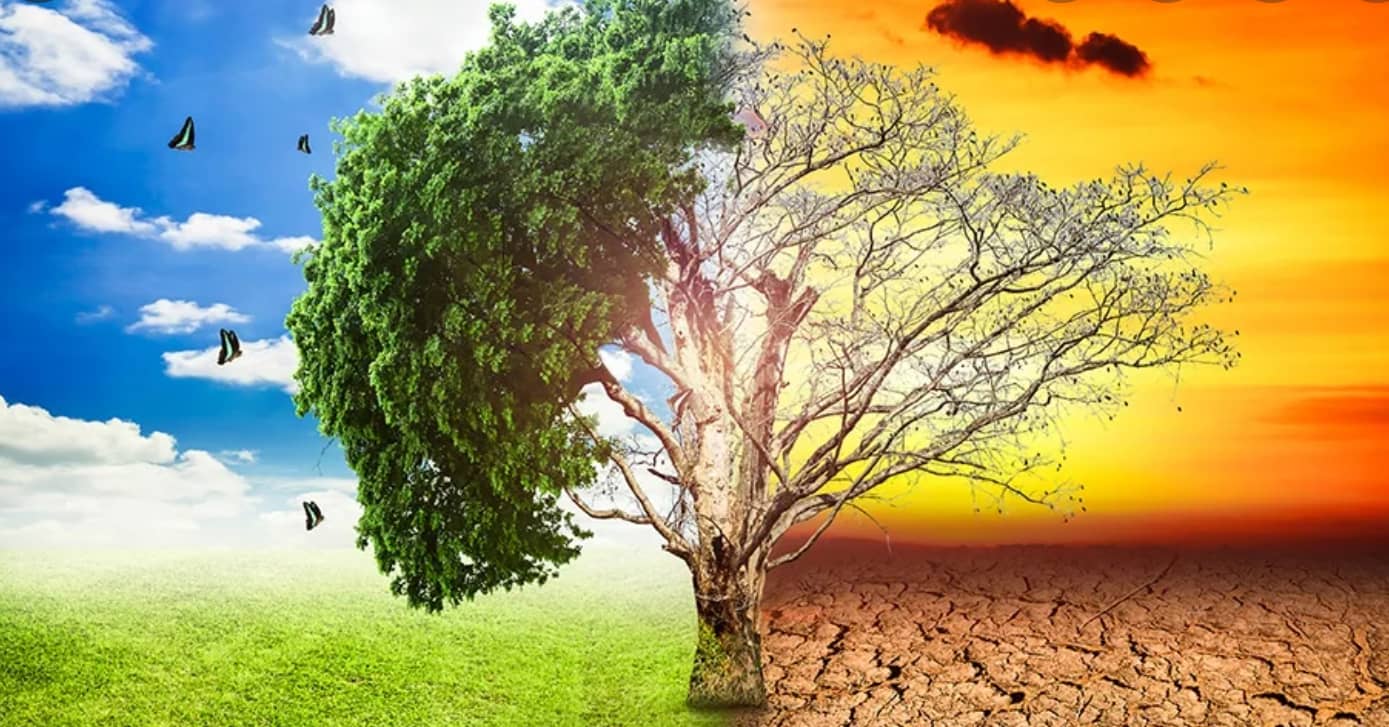 Are Florida Real Estate Prices Set to Plummet with the Onset of Global Warming?