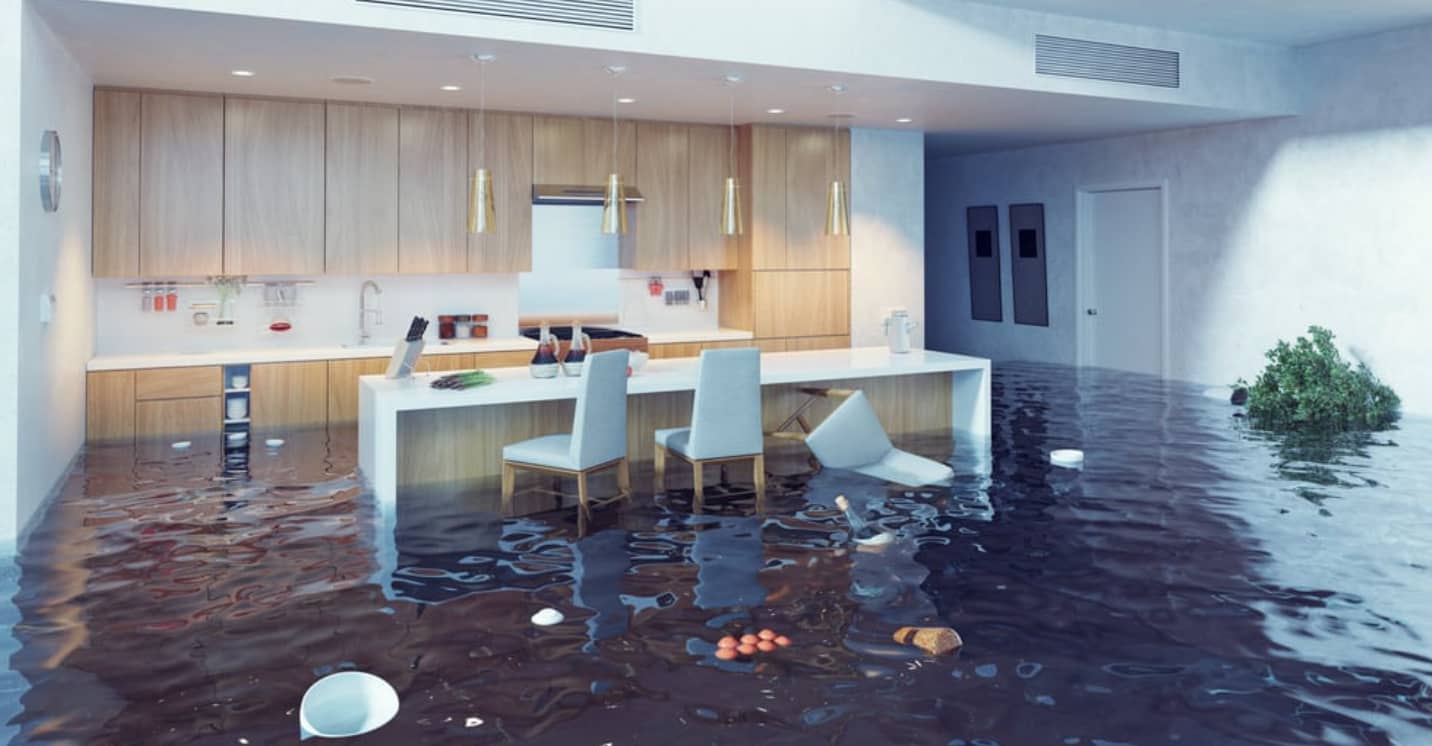 Five Things You Should Do Immediately If Your Home Floods
