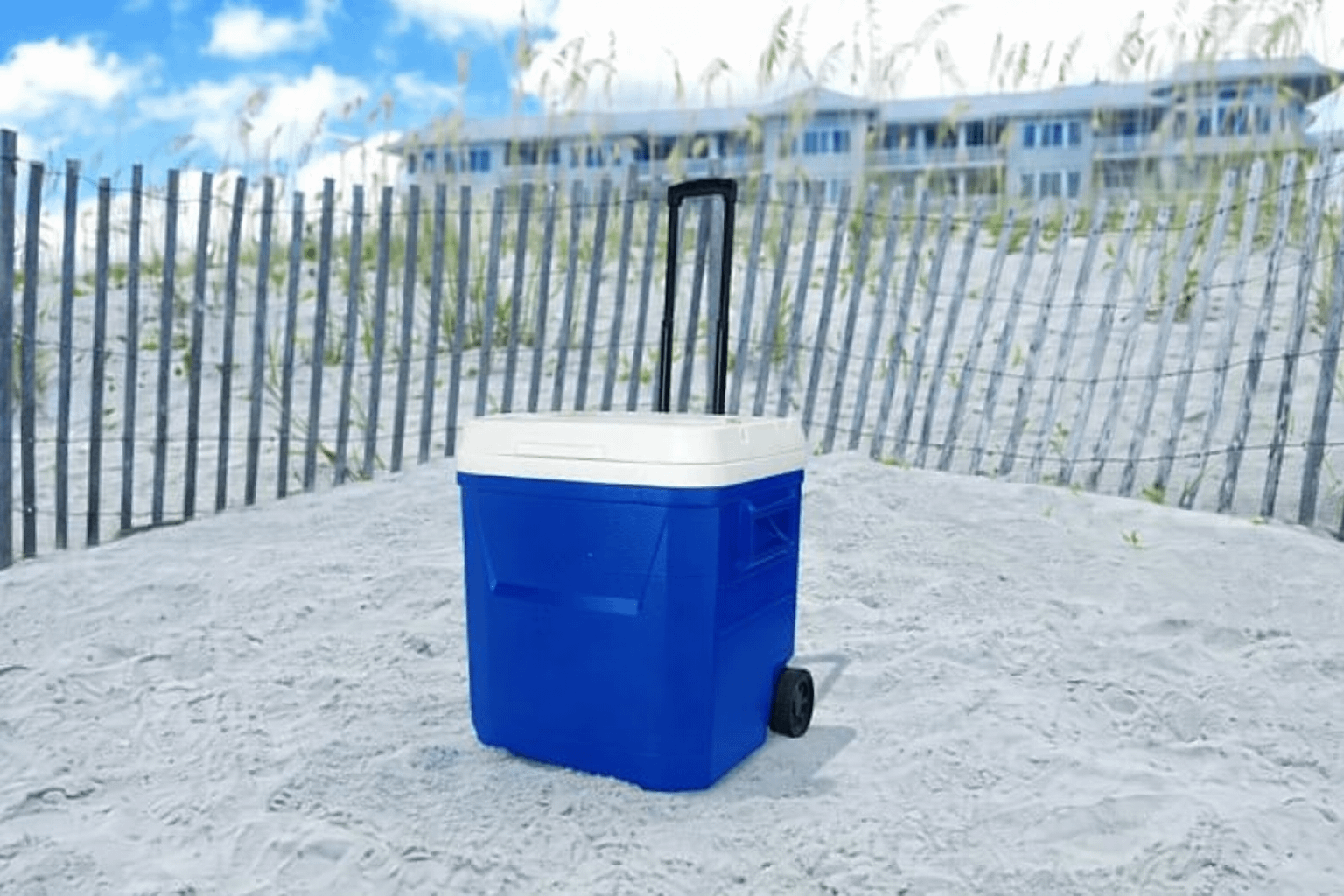 Coolers