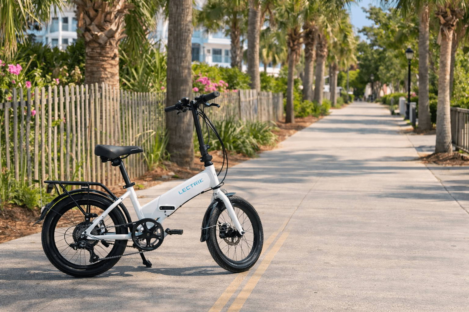 Adult E-Bike
