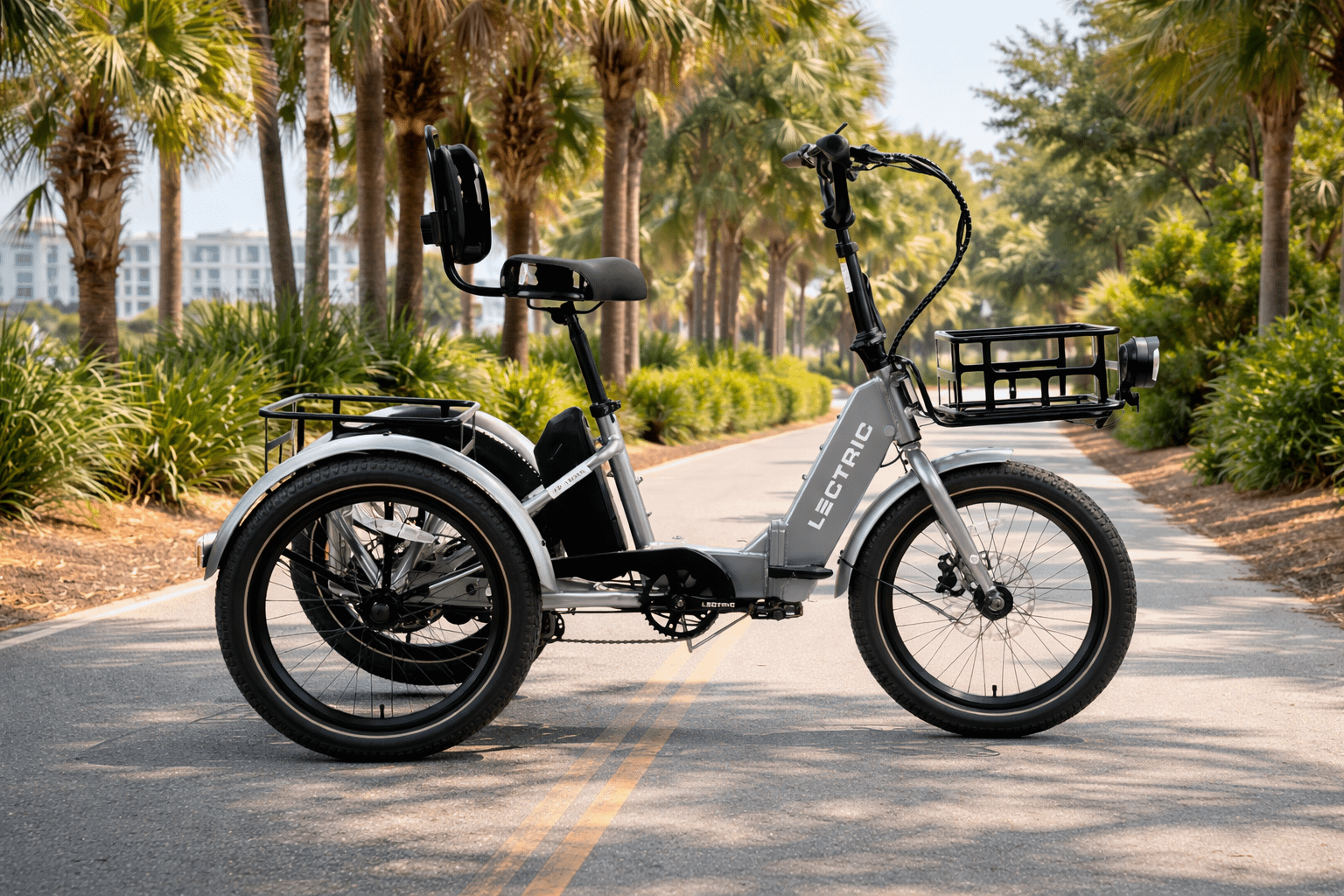 Adult 3 Wheeler Electric