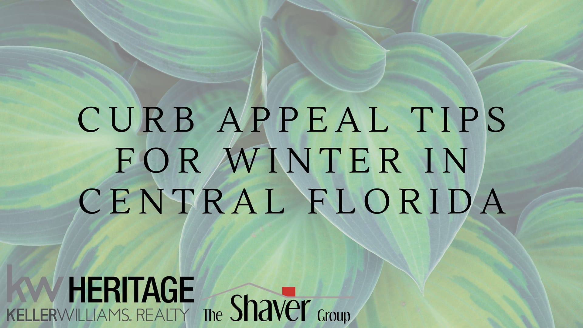 CURB APPEAL TIPS FOR WINTER IN CENTRAL FLORIDA