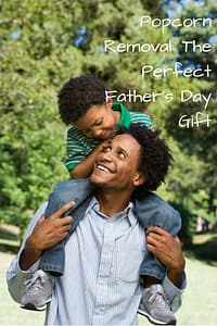 tampa popcorn removal for father's day