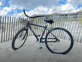 Adult Male Cruiser