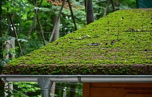 orlando drywall repair reminds you to clean your gutters