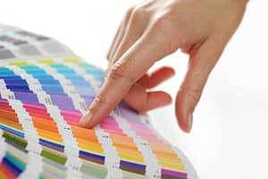 Orlando painting with harmony paints