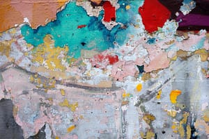 drywall repair orlando before you paint