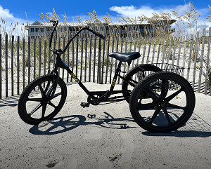Adult 3 Wheeler