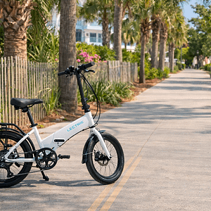 Adult E-Bike