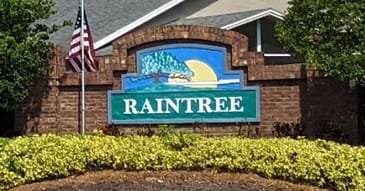 Rain Tree in Hunter's Creek