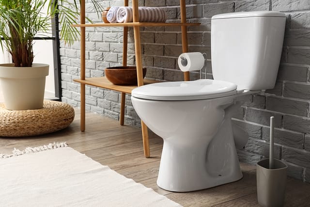 Silence the Hum: Top 5 Reasons Why Your Toilet is Humming and How a Plumber Can Help!